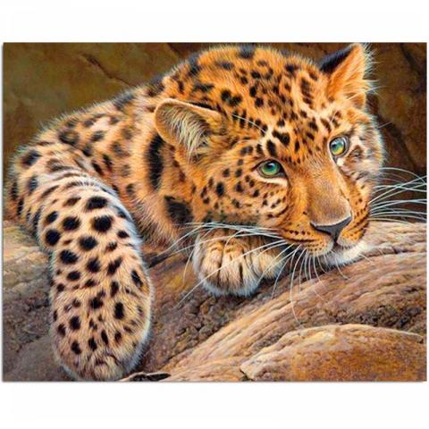 Леопард.jpg