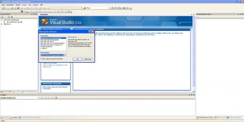 vs2008_pro4.jpg