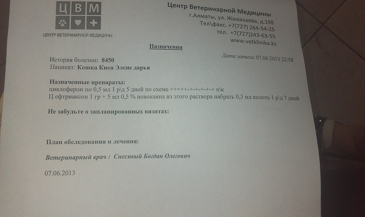 Срочная помощь [часть 2] - Страница 54 - Братья наши меньшие - Все Вместе -  Страница 54