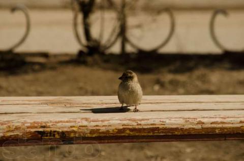 65784481_5_644x461_nikon-d5100-40mm-f28g-micro-55-200mm-f4-56gvarianty-aktyubinskaya-oblast_rev009.jpg