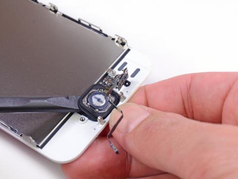 iphone5s_ifixit_004.jpg