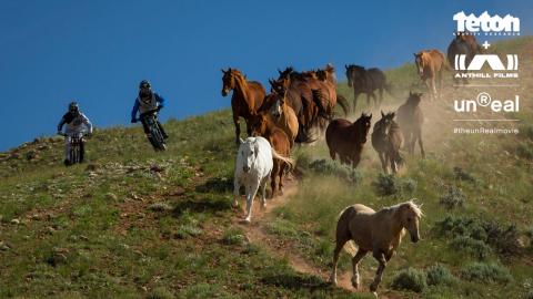 tgr-anthill-unreal-pr-images-bikers-with-horses.jpg