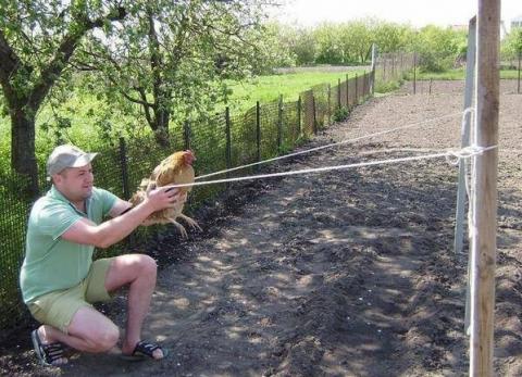 Angry Birds (Russian edition).jpg