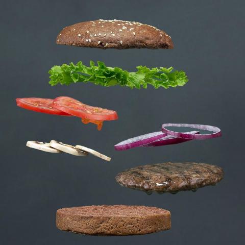 Hamburger-layers1.jpg