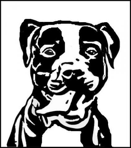 79871031_pitbull_stencil_11.JPG