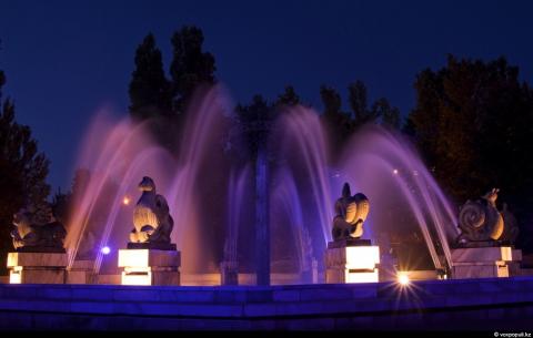 фонтан ночью.jpg