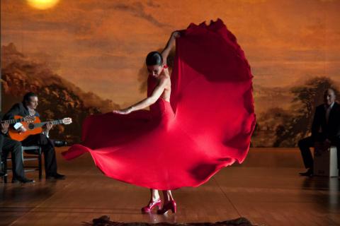 flamenco-flamenco-21.jpg