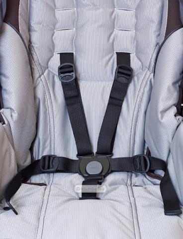 seat belt 2.jpg