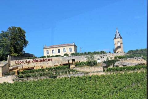 IMG_4588 - Clos La Madeleine.jpg