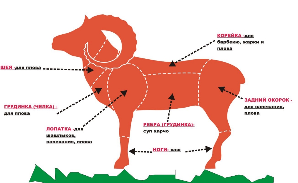 Схема разделки туши баранины