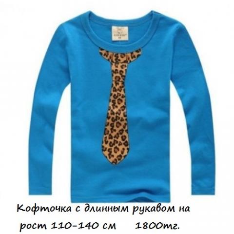 Free-shipping-Children-clothing-wholesale-spring-autumn-boys-long-sleeve-t-shir-kids-boby-tops-tees (2)-500x500.jpg