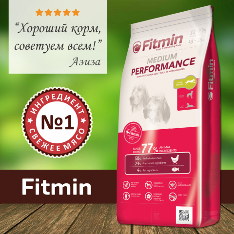 100817_Fitmin_medium_performance.png