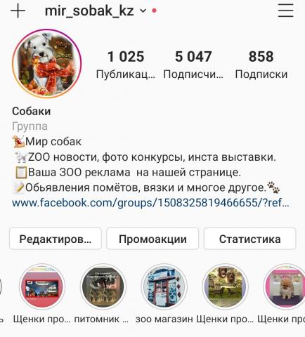 Screenshot_20200922-185224_Instagram.jpg