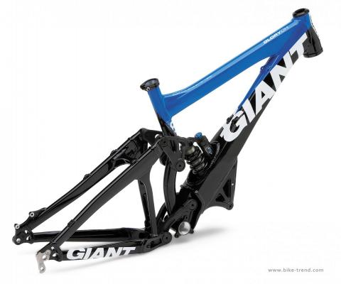 giant-glory-dh-frame-2009.jpg