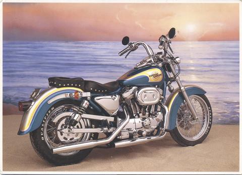 11674 1991 Custom Sportster.jpg