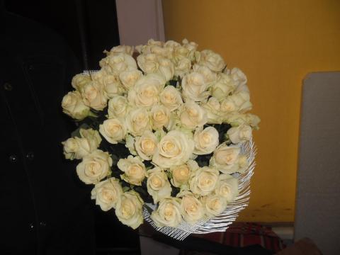51 белая роза 50.JPG