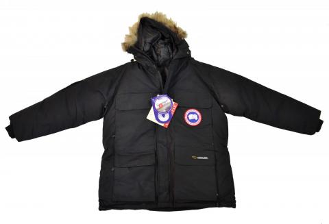 CanadaGoose1.jpg