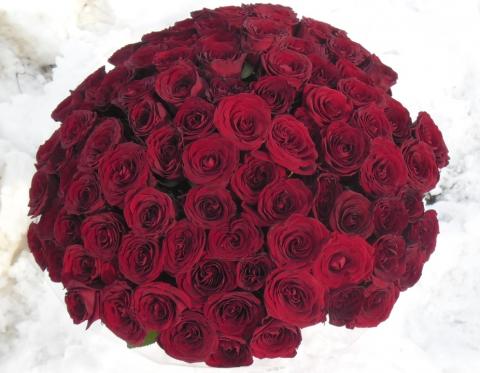 101 красная роза (6).JPG