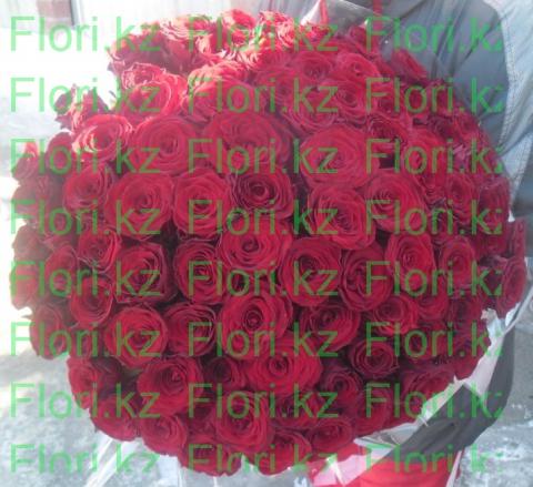 101 красная роза (1).JPG