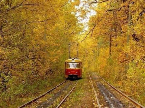 Train_in_the_forest.jpg