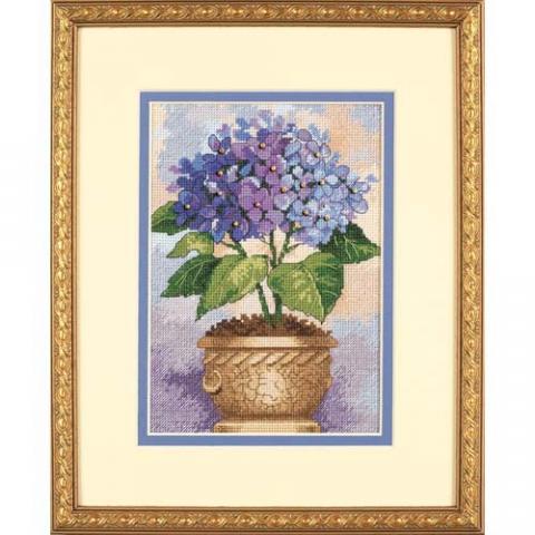 06959_Hydrangea_in_Bloom.jpg