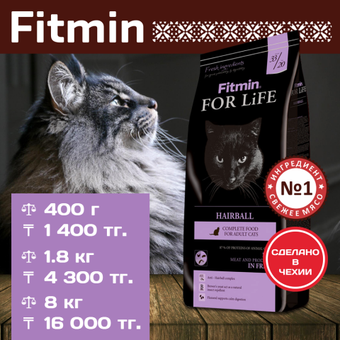 081117_Cat_for_Life-Hairball.png