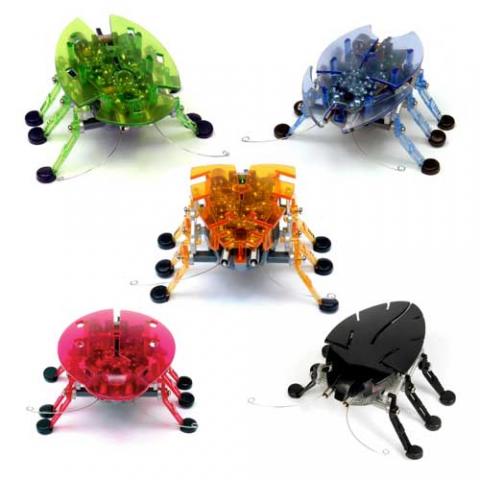 HexBug juk.jpg