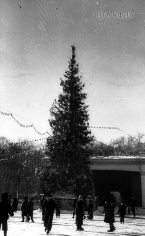 елка парк28 1959.jpg