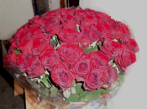 51 red rose 50 см.JPG