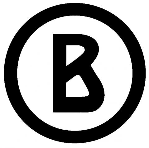 Logo_Bogner_003.jpg