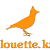 Дизайнерские декоративные наволочки от интернет-магазина www.ALLOUETTE.KZ - последнее сообщение от alouette.kz