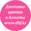 Бесплатная Доставка цветов в Алматы - последнее сообщение от Sanjiksanj