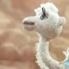 Просмотр номера очереди в детский сад | Электронное правительство Республики Казахстан - последнее сообщение от Белый верблюжонок